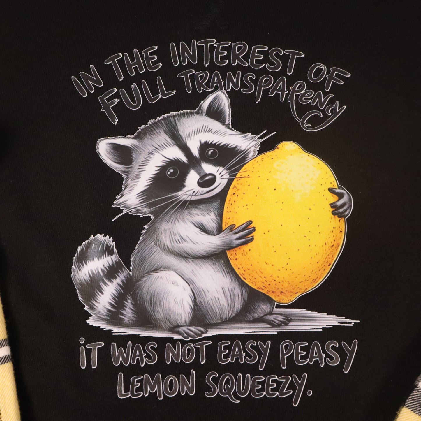 Reworked Sweatshirt - Racoon - In Full Transparency