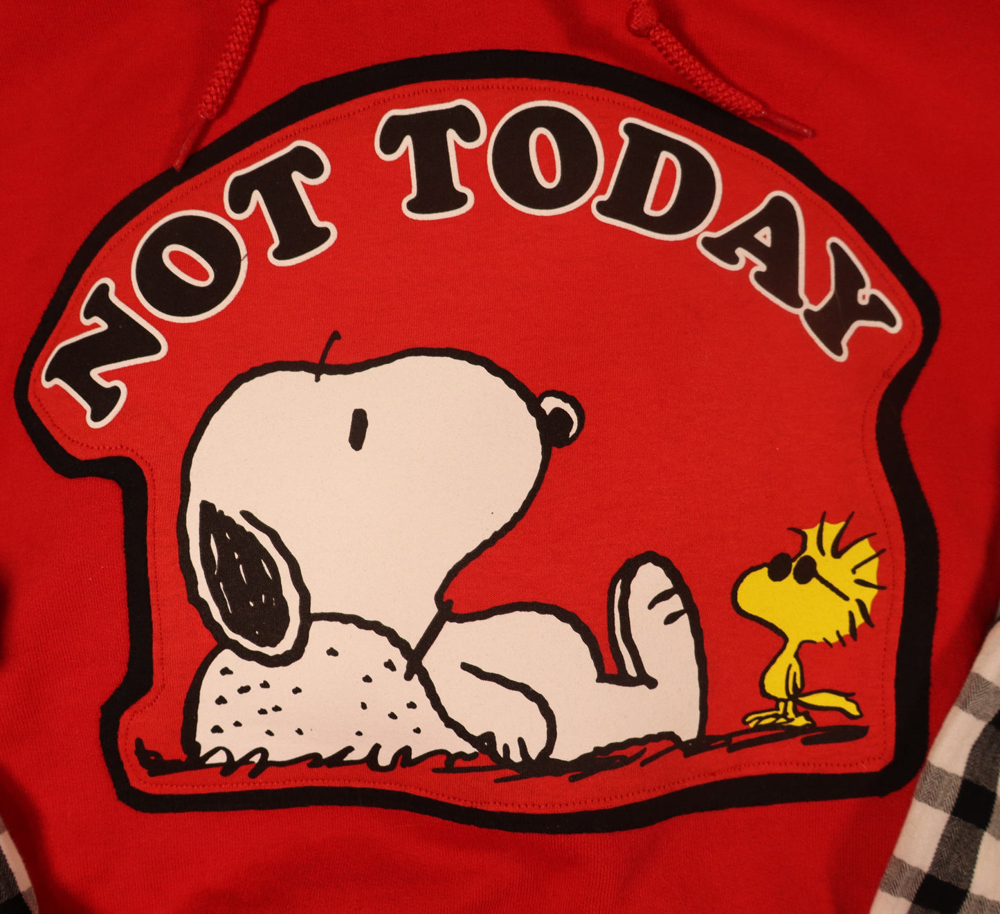 Reworked Hoodie - Snoopy & Woodstock "Not Today"